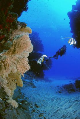 Mauritius - potápěči